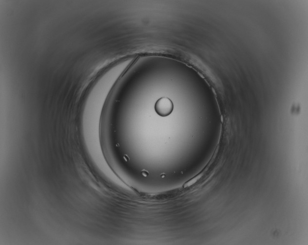 X0000093520203200710121551