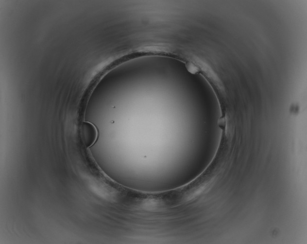 X0000093520204200710121551