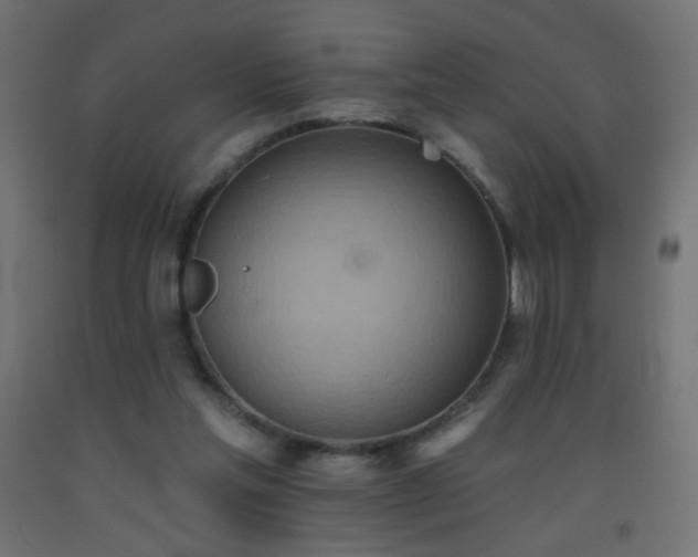 X0000093520205200710121551