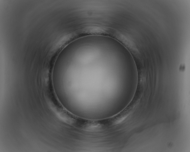 X0000093520206200710121551