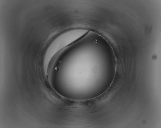 X0000093520207200710121551