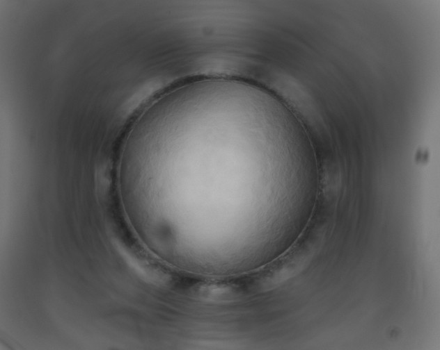 X0000093520208200710121551