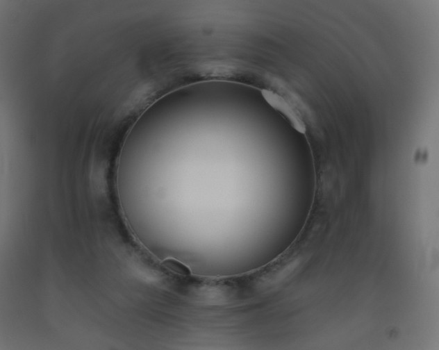 X0000093520209200710121551