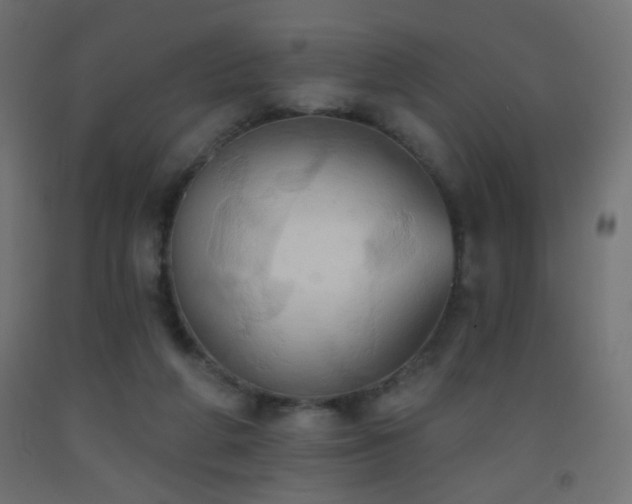 X0000093520210200710121551