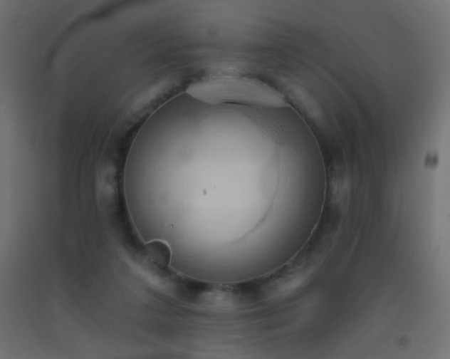 X0000093520211200710121551