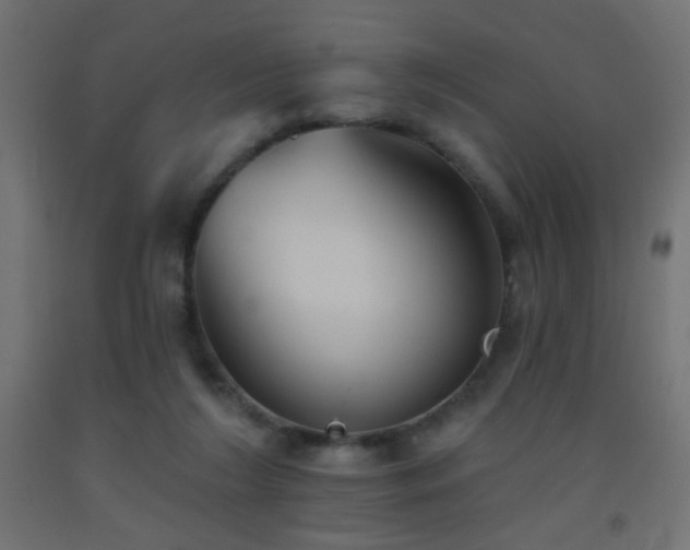 X0000093520212200710121551