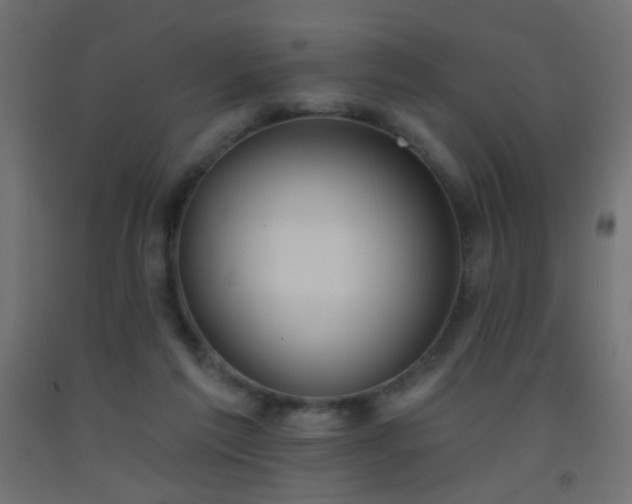 X0000093520213200710121551