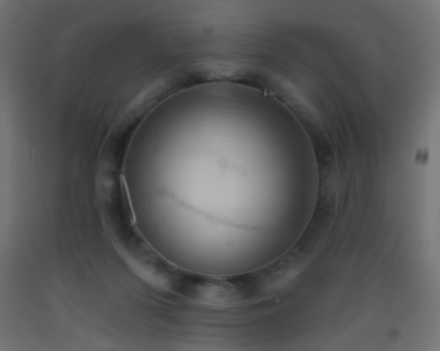 X0000093520215200710121551