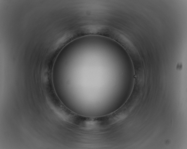 X0000093520216200710121551