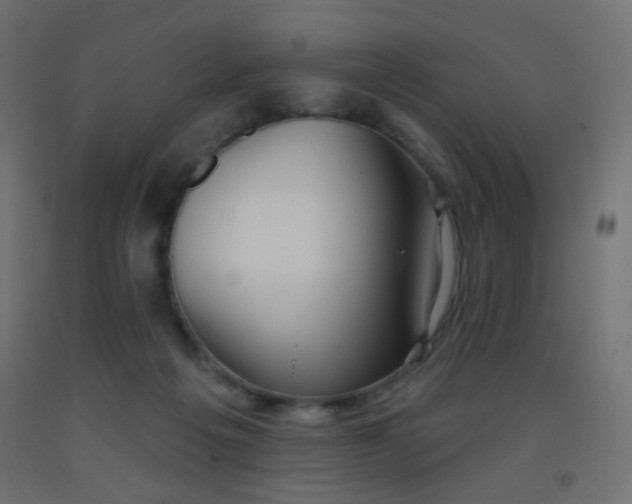 X0000093520217200710121551