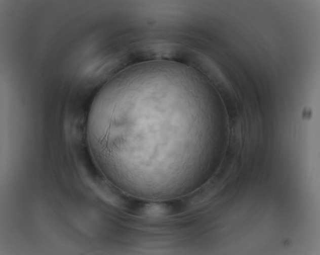 X0000093520218200710121551