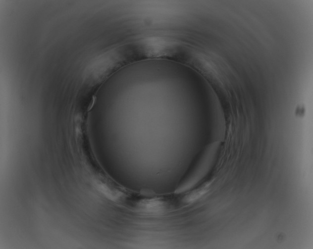 X0000093520219200710121551