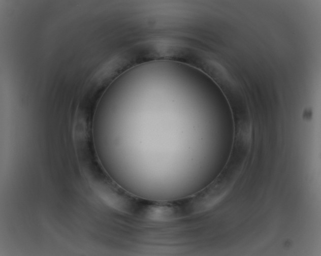 X0000093520220200710121551