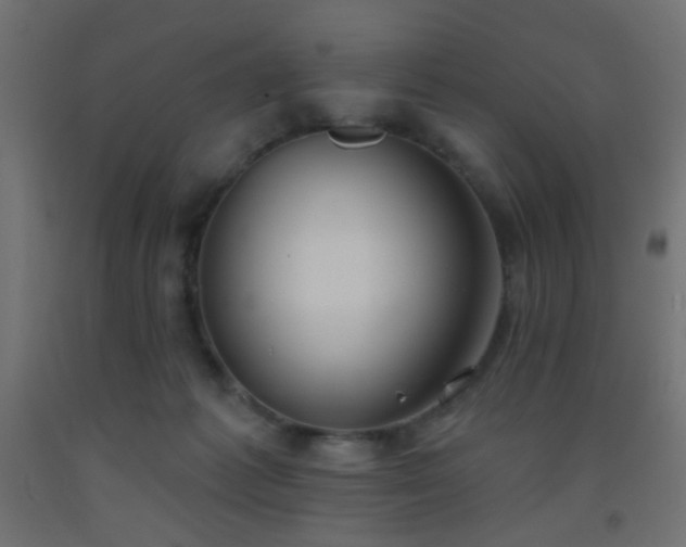 X0000093520221200710121551