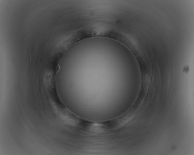 X0000093520222200710121551