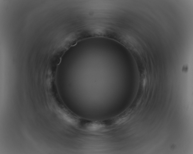 X0000093520223200710121551