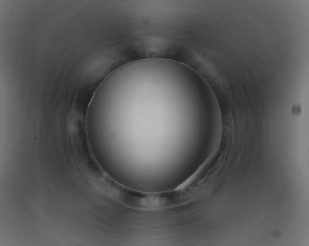 X0000093520225200710121551