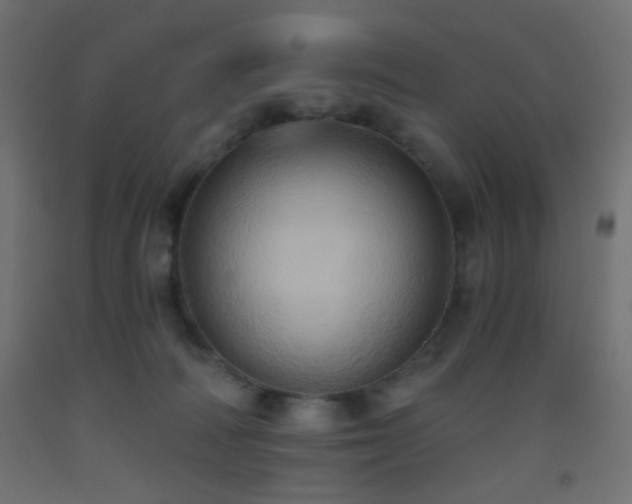 X0000093520226200710121551