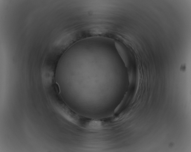 X0000093520227200710121551