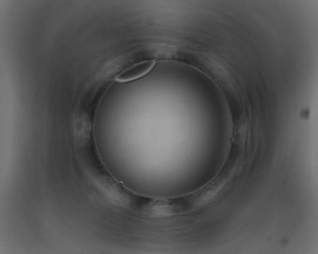 X0000093520228200710121551