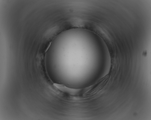 X0000093520229200710121551