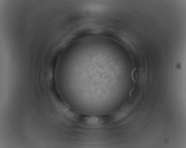 X0000093520230200710121551