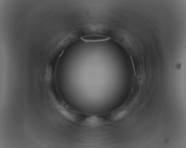 X0000093520231200710121551