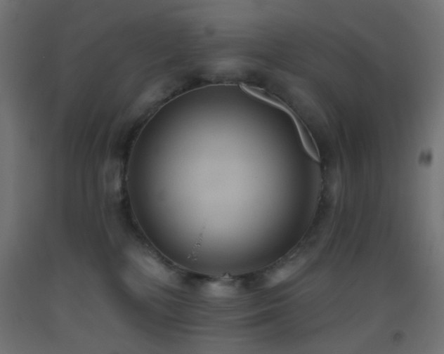 X0000093520232200710121551