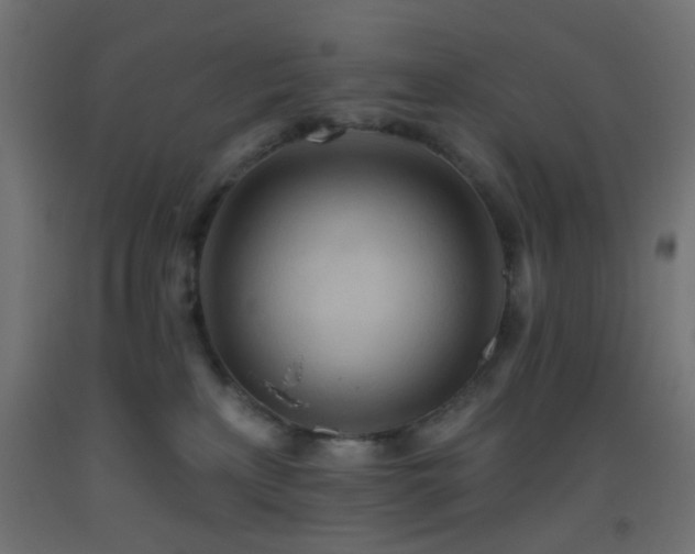 X0000093520233200710121551
