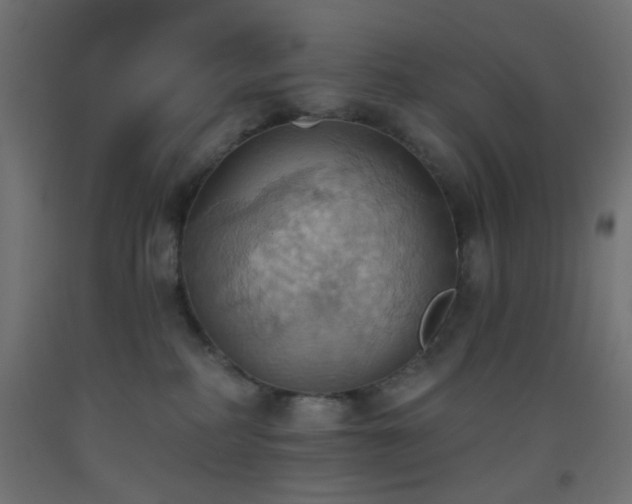X0000093520234200710121551