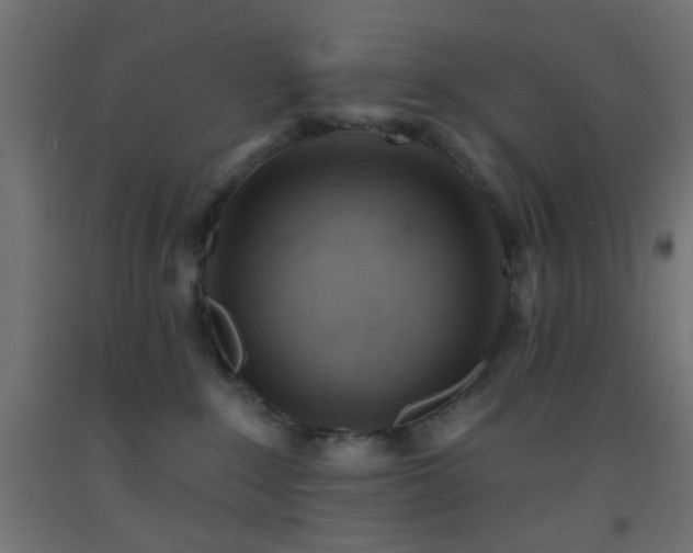 X0000093520235200710121551