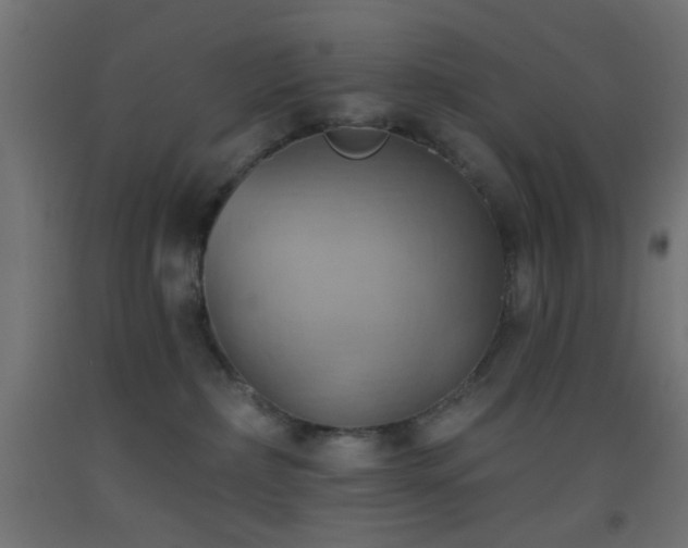 X0000093520236200710121551
