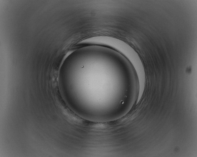 X0000093520237200710121551