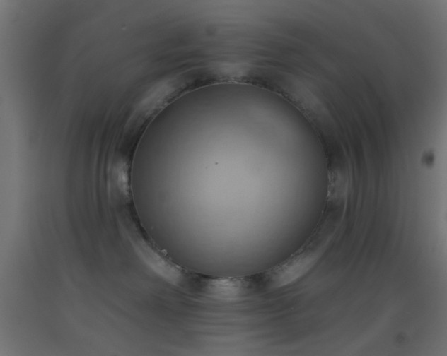 X0000093520238200710121551