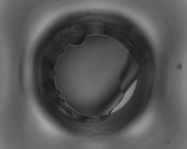 X0000093520239200710121551