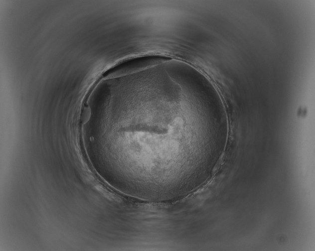 X0000093520241200710121550