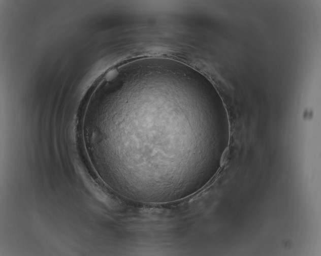 X0000093520242200710121550