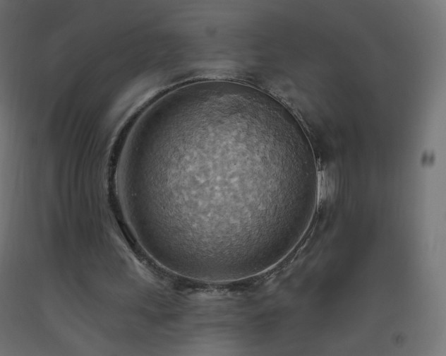 X0000093520243200710121550