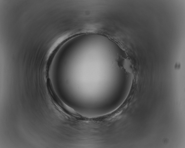 X0000093520244200710121550