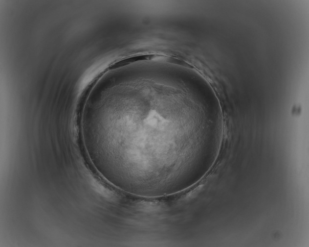 X0000093520245200710121550