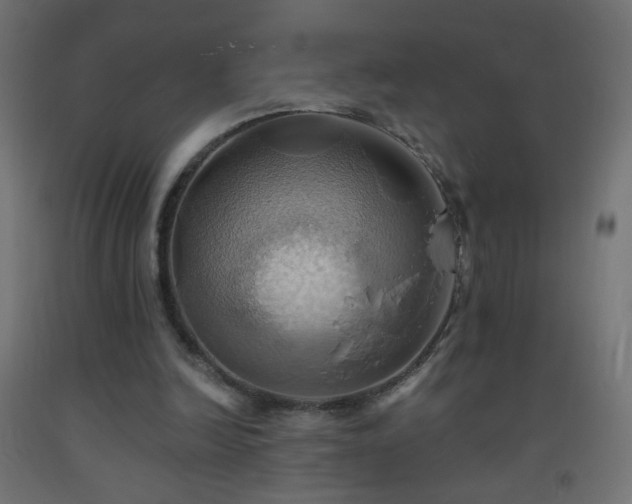 X0000093520246200710121550