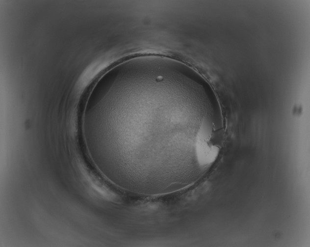 X0000093520247200710121550