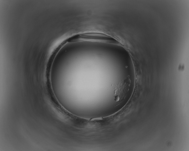 X0000093520248200710121550