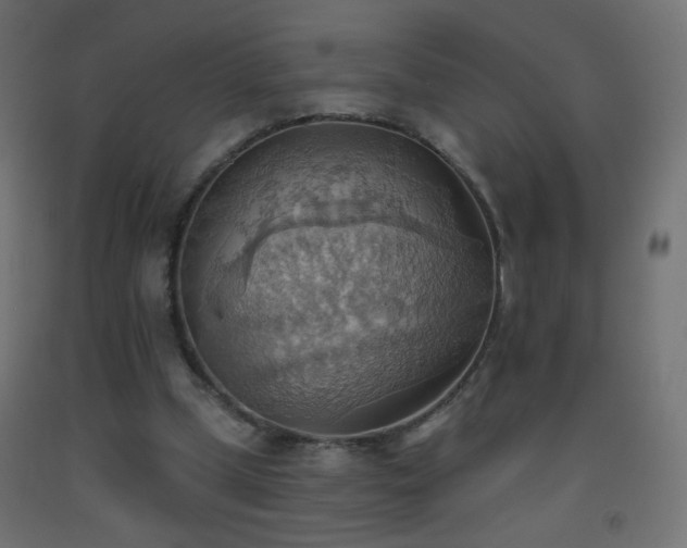 X0000093520249200710121550