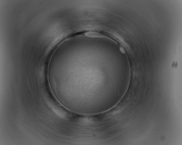 X0000093520250200710121550