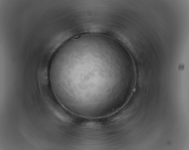 X0000093520251200710121550