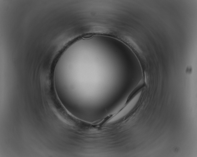 X0000093520252200710121550