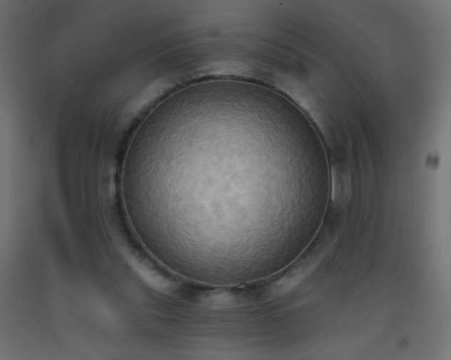 X0000093520253200710121550