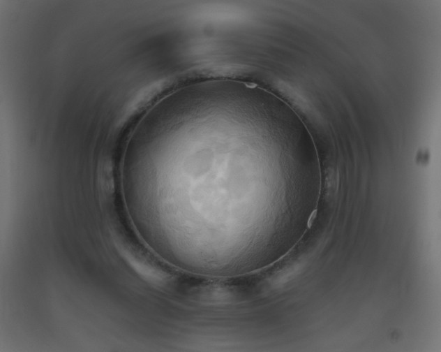 X0000093520254200710121550