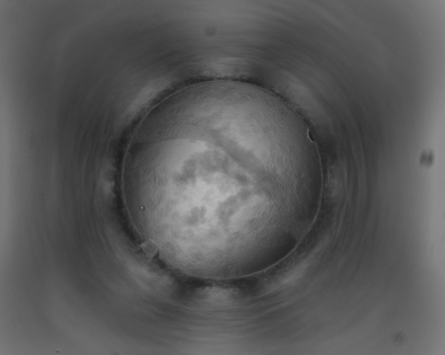 X0000093520255200710121550